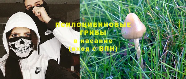 герыч Лиски