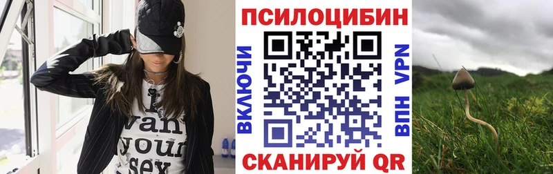 Купить где  Малмыж  Галлюциногенные грибы GOLDEN TEACHER 